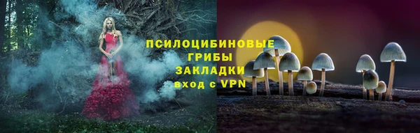 ешки Армянск