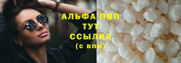 ешки Аркадак