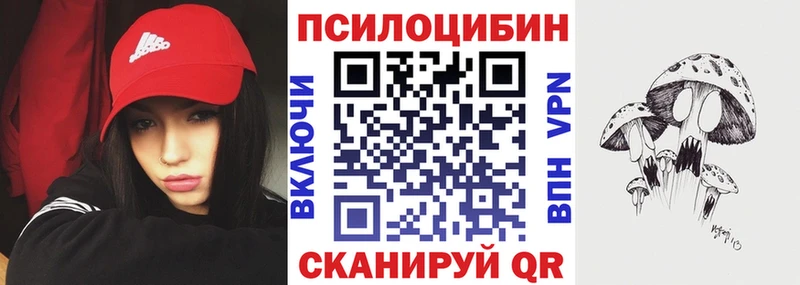 Псилоцибиновые грибы мицелий  Купить закладки  Аткарск 